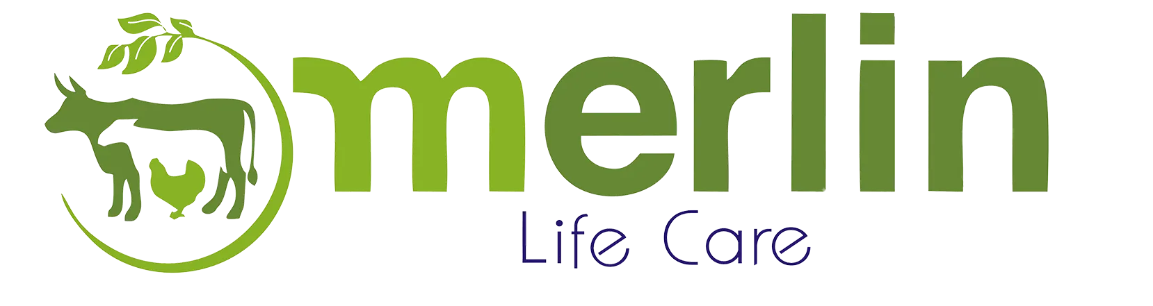 Merlin Lifecare